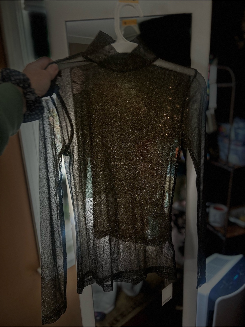 Sheer Metallic Long Sleeve Mesh Top, NWT